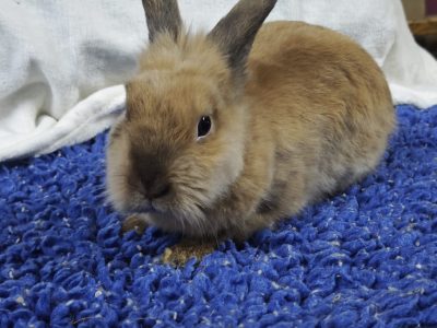 4a6843f5-b0ed-4540-9bc0-d2b1d30b6954