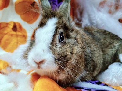 571137623_1129215069343120_9163929624636739840_n