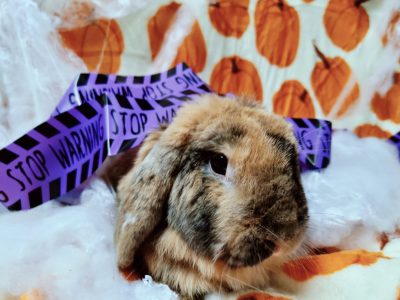 572875712_1136911535240140_7362755388904361344_n