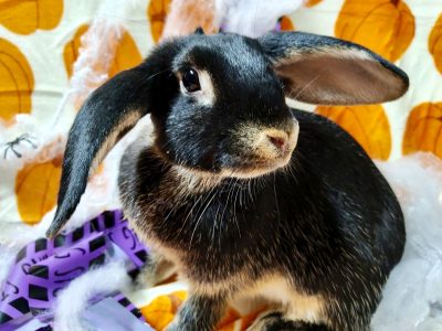 618799157_1199359832328643_7610699433858612308_n