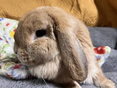 IMG_8271