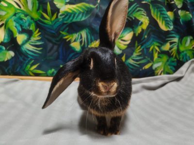 f12ad7e4-1fe3-4000-9ab7-06766d7020bf